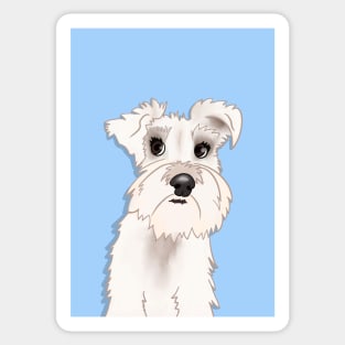 Belle the White Miniature Schnauzer Dog Sticker